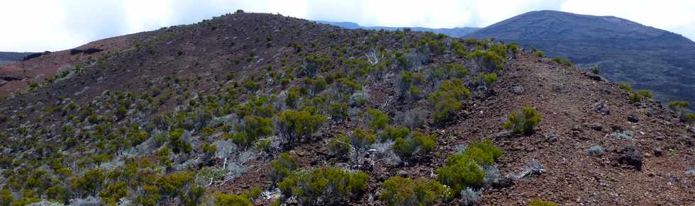 30 octobre 2015 - Massif de la Fournaise - Sentier du Piton de Bert - Monte au Piton Rouge -