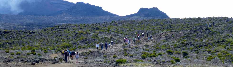 30 octobre 2015 - Massif de la Fournaise - Sentier du Piton de Bert - Piton Rouge -