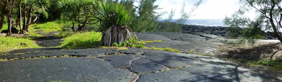 3 mars 2016 - St-Philippe - Puits arabe - Pointe de la Table - Coule mars 1986