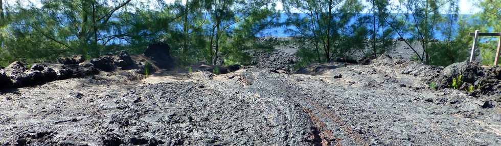 3 mars 2016 - St-Philippe  Pointe de la Table - Coule mars 1986 - Bras sud