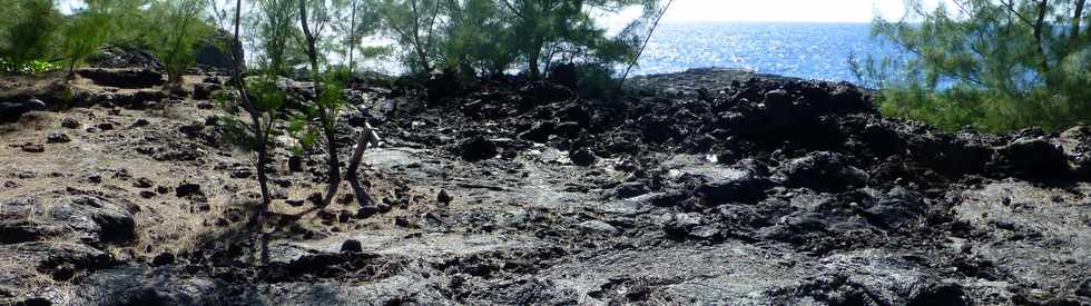 3 mars 2016 - St-Philippe  Pointe de la Table - Coule mars 1986 - Bras sud