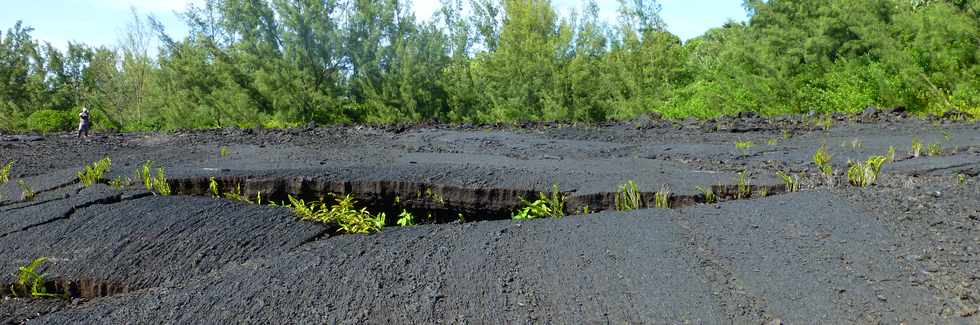 3 mars 2016 - St-Philippe  Pointe de la Table - Coule mars 1986 - Bras sud