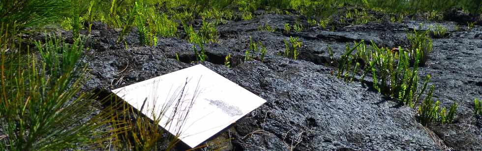 3 mars 2016 - St-Philippe  Pointe de la Table - Coule mars 1986 - Fissure