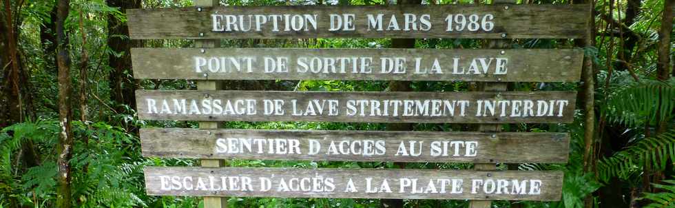 3 mars 2016 - St-Philippe  Pointe de la Table - Coulée mars 1986 - Sentier de la fissure dans la forêt -
