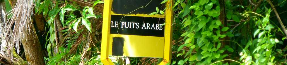 3 mars 2016 - St-Philippe - Puits arabe, ancien arrt Car Jaune