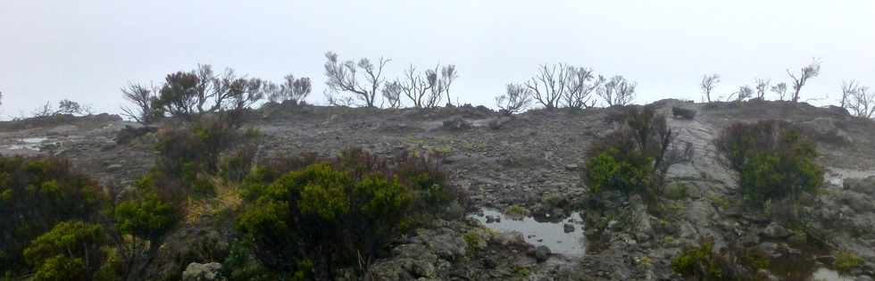 26 mai 2016 - Eruption au Piton de la Fournaise - Ile de la Runion - Piton de Bert - Pas de Bory