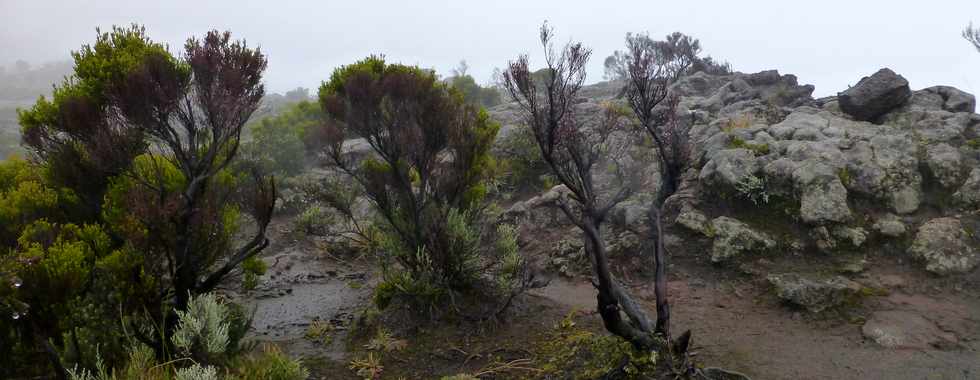 26 mai 2016 - Eruption au Piton de la Fournaise - Ile de la Réunion - Piton de Bert - Pas de Bory