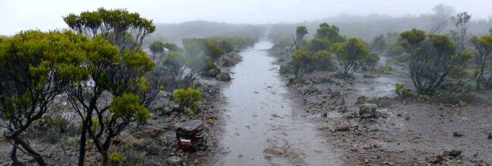26 mai 2016 - Eruption au Piton de la Fournaise - Ile de la Réunion - Sentier du Piton de Bert - Zones inondées