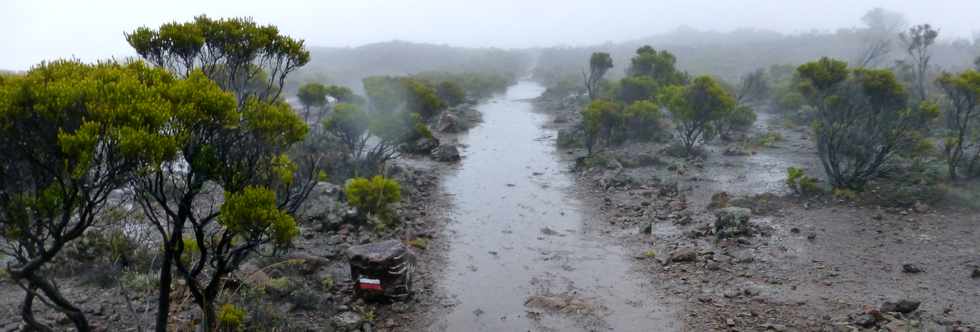 26 mai 2016 - Eruption au Piton de la Fournaise - Ile de la Runion - Sentier du Piton de Bert - Zones inondes