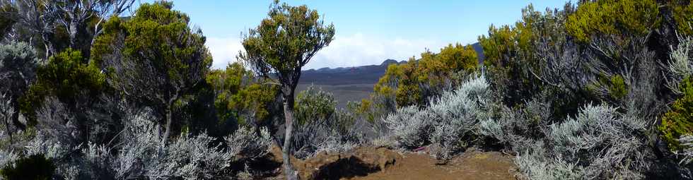 13 septembre 2016 - Piton de la Fournaise - Eruption du 11 septembre 2016 -