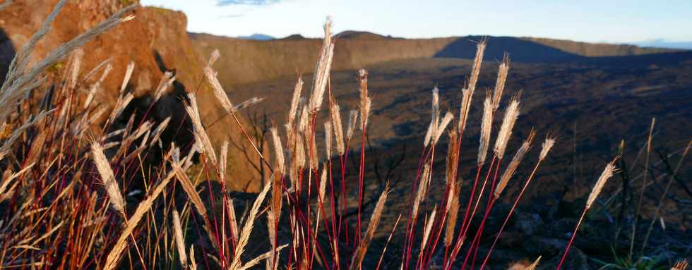 2 fvrier 2017 - Piton de la Fournaise - Eruption du 31 janvier 2017 -  Sentier du Piton de Bert