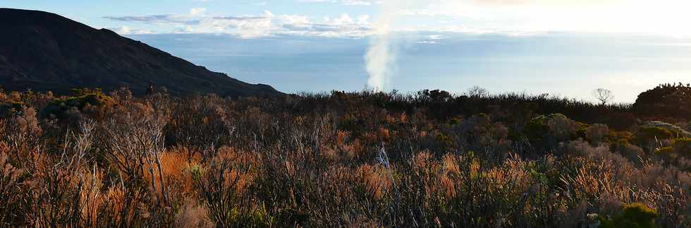 2 fvrier 2017 - Piton de la Fournaise - Eruption du 31 janvier 2017 -  Sentier du Piton de Bert