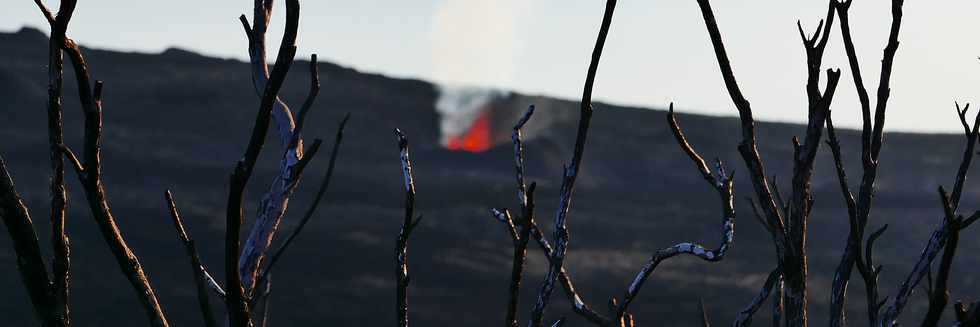 2 fvrier 2017 - Piton de la Fournaise - Eruption du 31 janvier 2017 -  Sentier du Piton de Bert