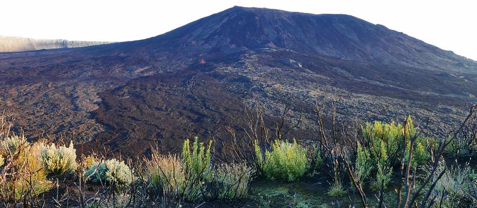 2 fvrier 2017 - Piton de la Fournaise - Eruption du 31 janvier 2017 -  Sentier du Piton de Bert