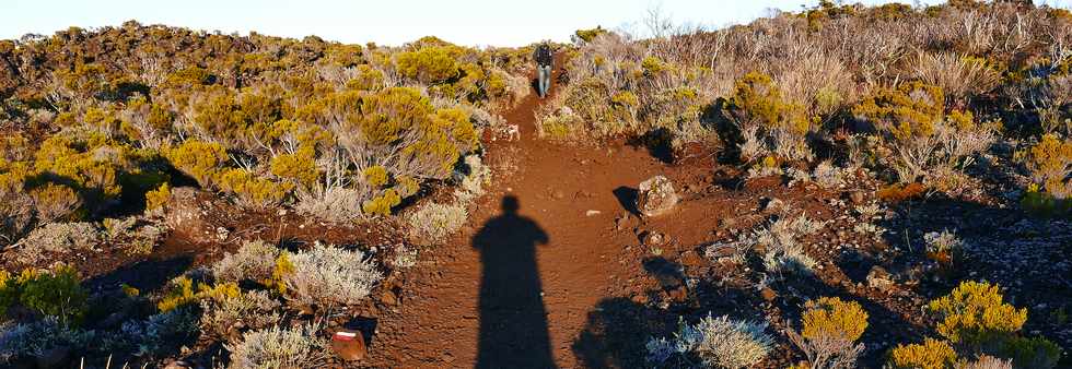 2 fvrier 2017 - Piton de la Fournaise - Eruption du 31 janvier 2017 -  Sentier du Piton de Bert