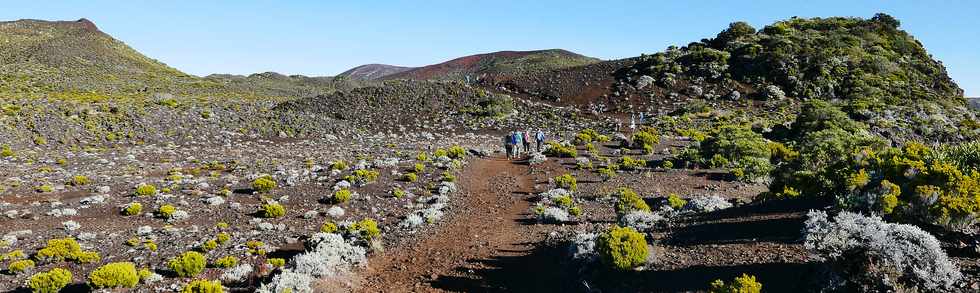 2 fvrier 2017 - Piton de la Fournaise - Eruption du 31 janvier 2017 -  Sentier du Piton de Bert