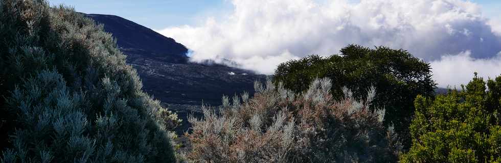 14 juillet 2017 - Ile de la Réunion - Eruption au Piton de la Fournaise -  Sentier du Piton de Bert -