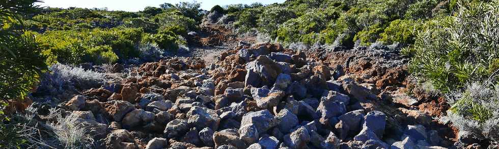 14 juillet 2017 - Ile de la Runion - Eruption au Piton de la Fournaise - Sentier du Piton de Bert - Retour vers le parking Foc Foc  -