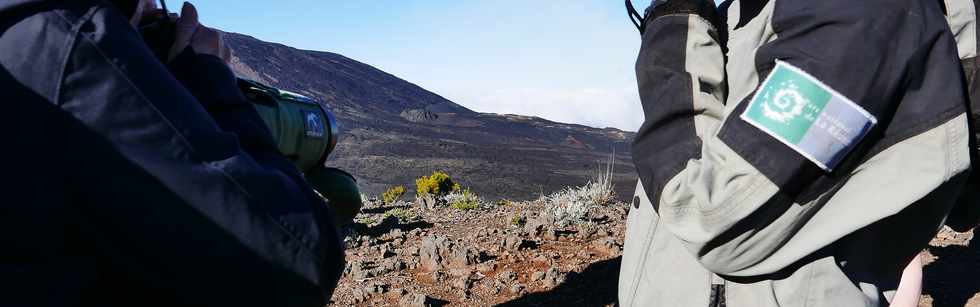 14 juillet 2017 - Ile de la Runion - Eruption au Piton de la Fournaise - Sentier du Piton de Bert - Retour vers le parking Foc Foc  - Lunette du Parc National