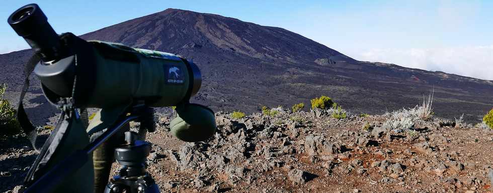 14 juillet 2017 - Ile de la Runion - Eruption au Piton de la Fournaise - Sentier du Piton de Bert - Retour vers le parking Foc Foc  - Lunette du Parc National