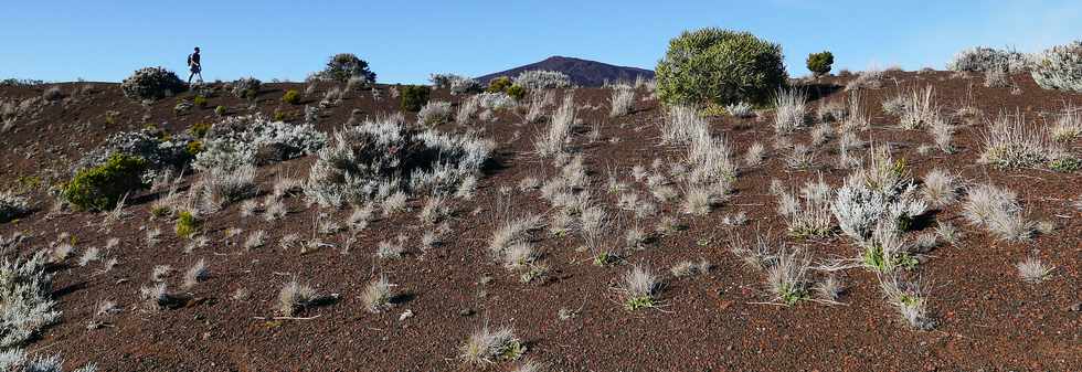 14 juillet 2017 - Ile de la Runion - Eruption au Piton de la Fournaise - Sentier du Piton de Bert - Retour vers le parking Foc Foc  -