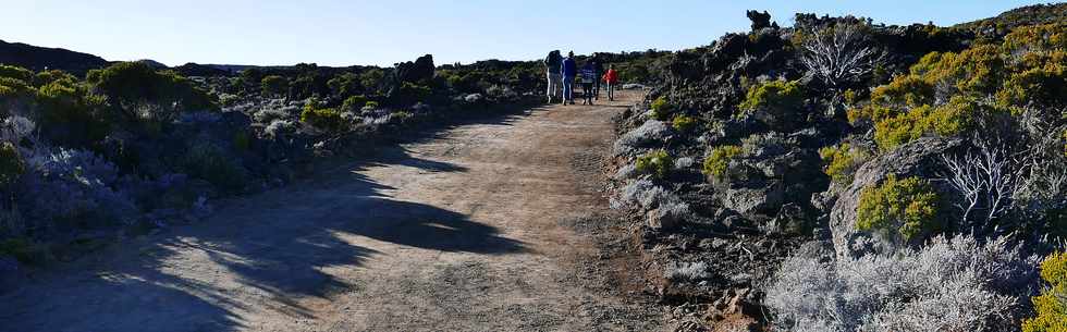 14 juillet 2017 - Ile de la Runion - Eruption au Piton de la Fournaise - Sentier du Piton de Bert - Retour vers le parking Foc Foc  - Piste