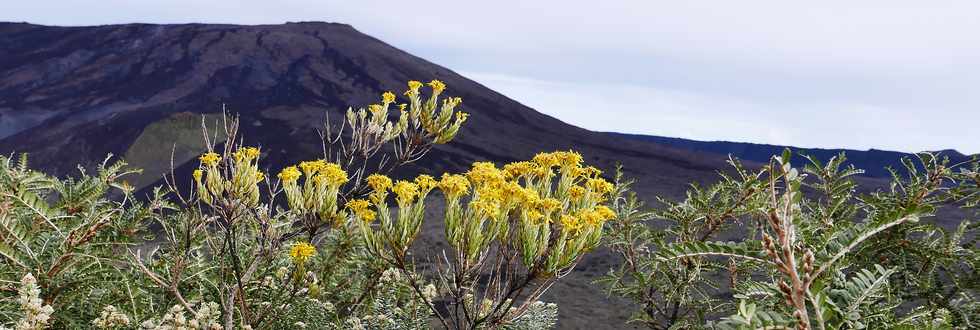 3 avril 2018 - Eruption du Piton de la Fournaise - Fissure au pied du Nez Coup de Ste-Rose -Sur le sentier entre le Piton de Partage et le Pas de Bellecombe -