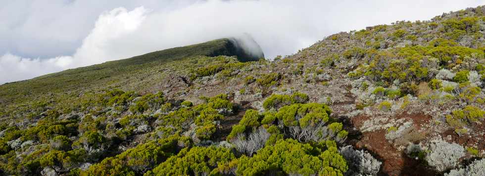 3 avril 2018 - Eruption du Piton de la Fournaise - Fissure au pied du Nez Coup de Ste-Rose - Pas de Bellecombe -