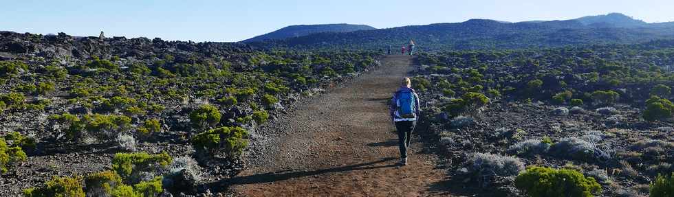 29 avril 2018 - Piton de la Fournaise - Eruption du 27 avril 2018  proximit du cratre Rivals -