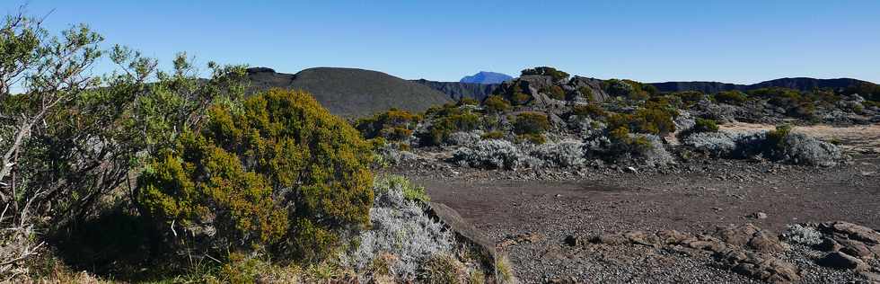 27 juillet 2018 - Ile de la Runion - Massif de la Fournaise - Pas de Bellecombe - Glace