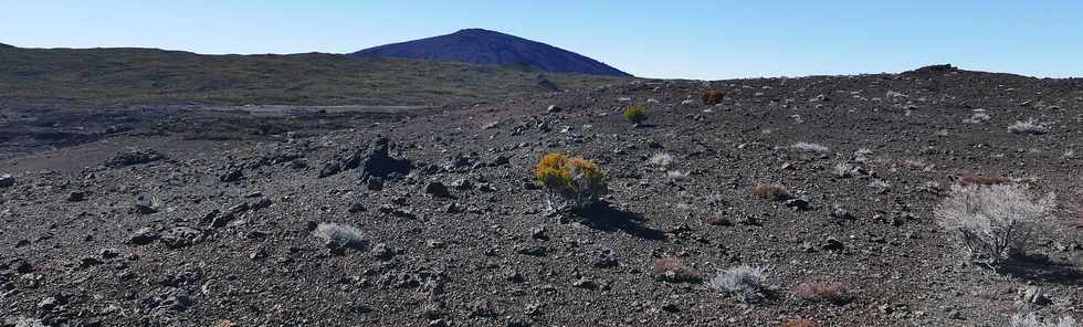 27 juillet 2018 - Ile de la Runion - Massif de la Fournaise - Monte au Piton Chisny -