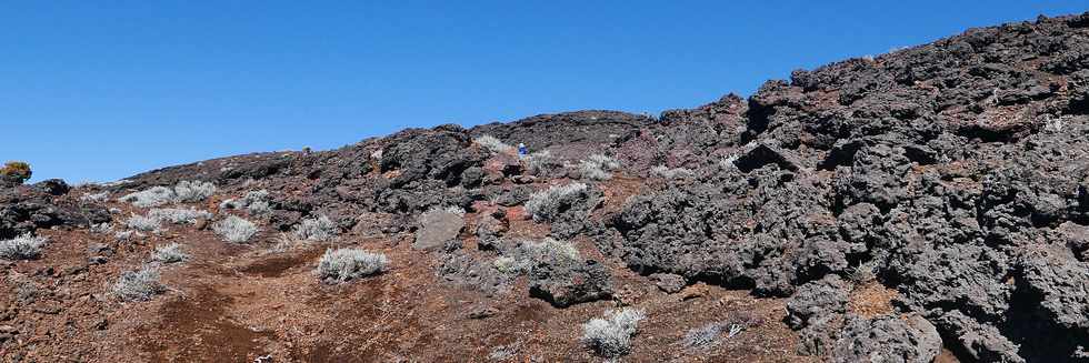 27 juillet 2018 - Ile de la Runion - Massif de la Fournaise - Monte au Piton Chisny -