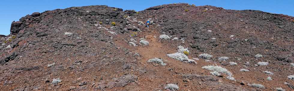 27 juillet 2018 - Ile de la Réunion - Massif de la Fournaise - Montée au Piton Chisny -