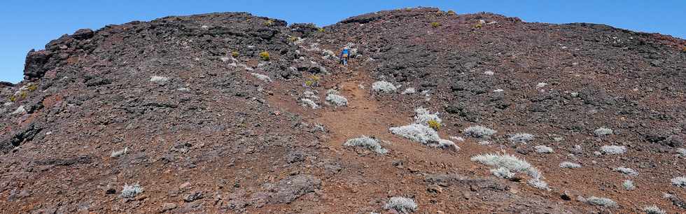 27 juillet 2018 - Ile de la Runion - Massif de la Fournaise - Monte au Piton Chisny -