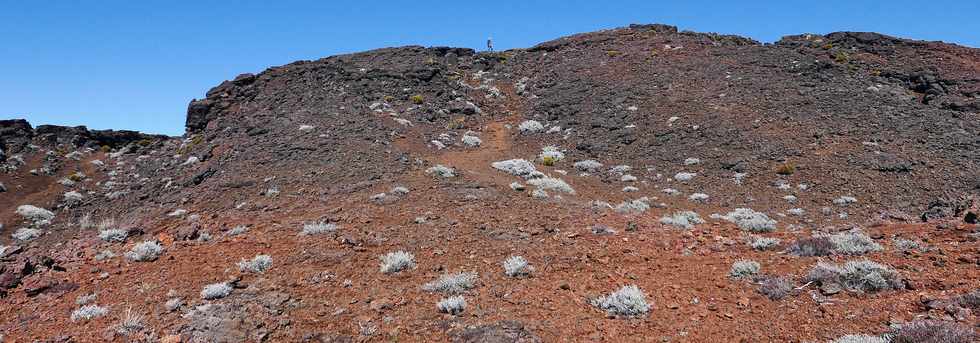 27 juillet 2018 - Ile de la Runion - Massif de la Fournaise - Monte au Piton Chisny -