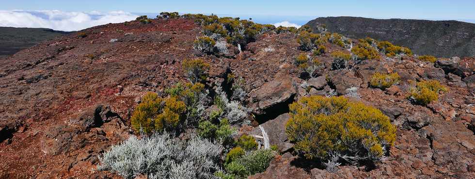 27 juillet 2018 - Ile de la Runion - Massif de la Fournaise - Monte au Piton Chisny -