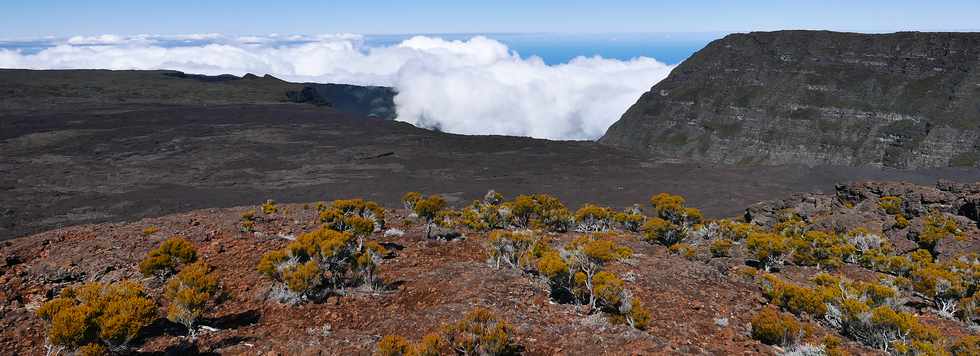 27 juillet 2018 - Ile de la Runion - Massif de la Fournaise - Monte au Piton Chisny -