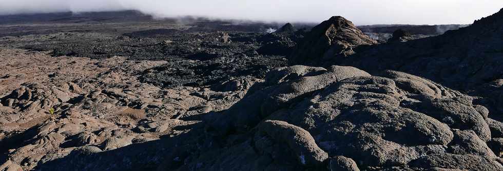 15 aot 2018 - Massif du Piton de la Fournaise - Enclos Fouqu -  Arrive  la coule du 13 juillet 2018