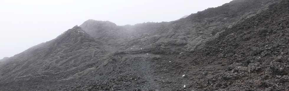 15 aot 2018 - Piton de la Fournaise - Sentier d'accs au cratre Dolomieu  - Bruine et vent