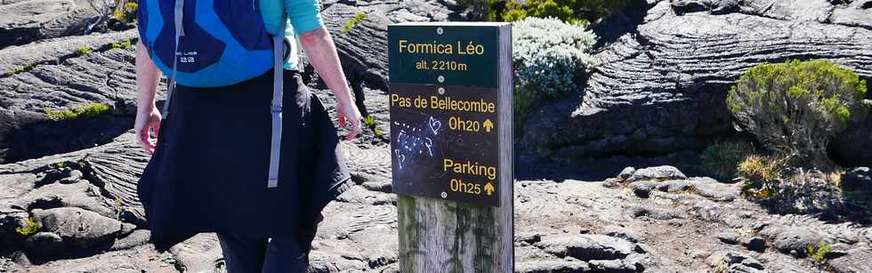 15 août 2018 - Piton de la Fournaise - Sentier d'accès à la plateforme d'observation du cratère Dolomieu - Retour vers le Pas de Bellecombe  - Formica Léo