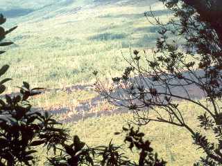 Sentier de la Cage aux lions (1998)