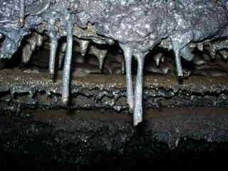 Stalactites de lave