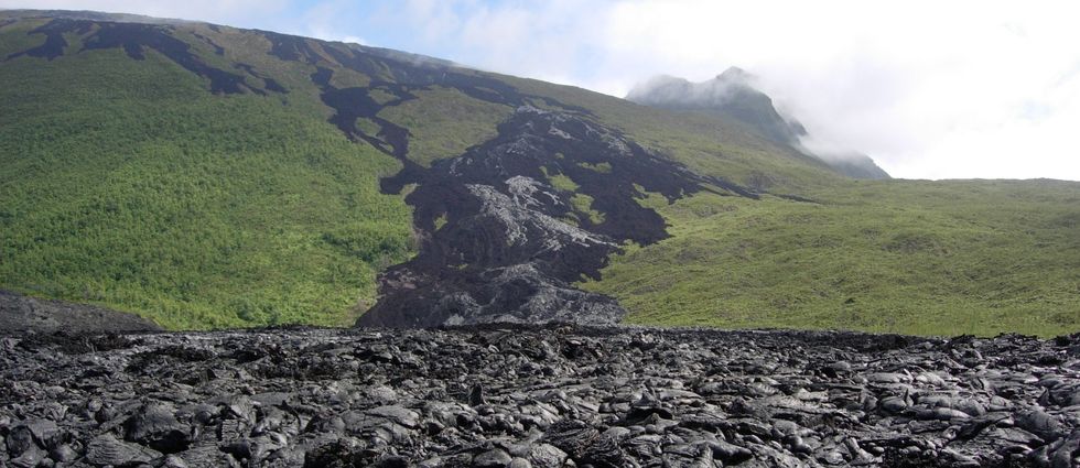 Coul�e 2004