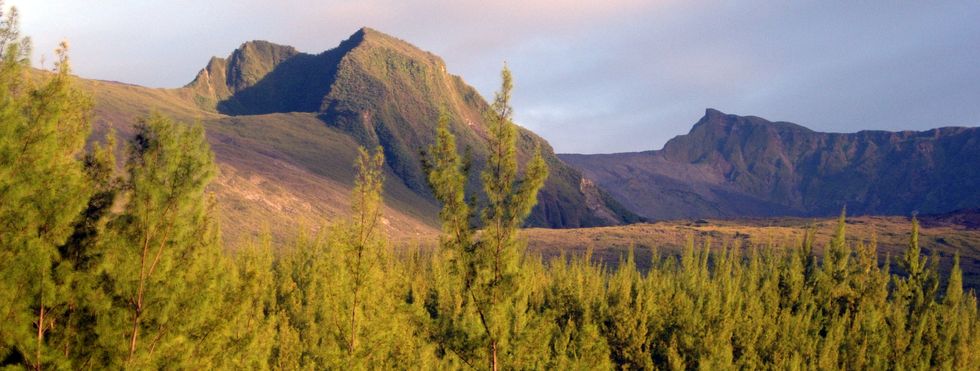 Piton de Crac et Nez Coup� de Ste-Rose