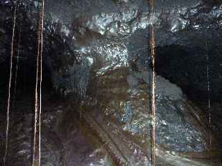 Tunnel de lave - Racines et pilier