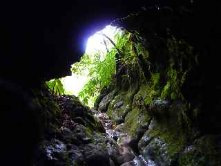 Tunnel de lave du Massif du Piton des Neiges