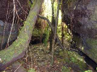 Tunnel de lave - coule de novembre 1800 -