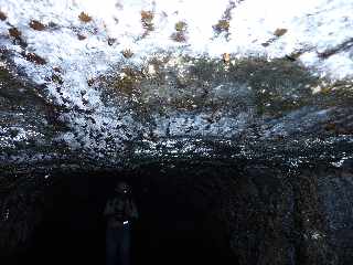 Piton de la Fournaise - Tunnel de lave ancien