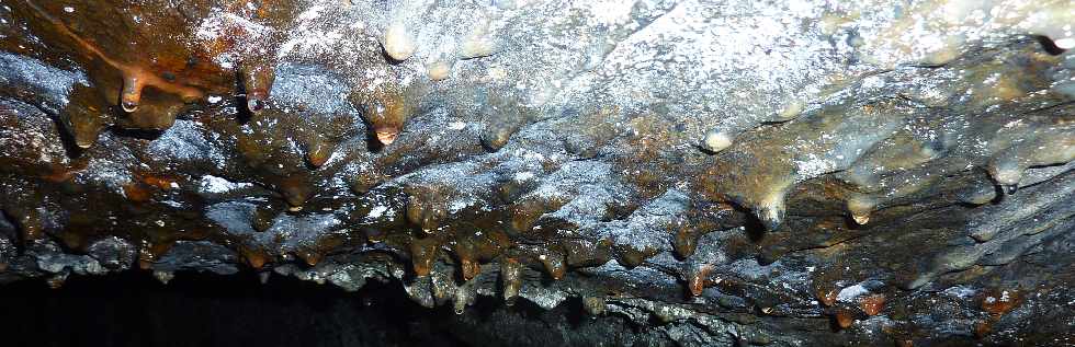 Piton de la Fournaise - Tunnel de lave ancien