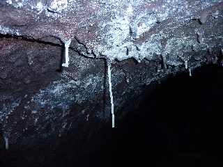 Tunnel de lave du Piton de la Fournaise